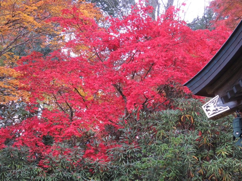 奥久慈・男体山から袋田の滝、常陸大子、もみじ寺、永源寺