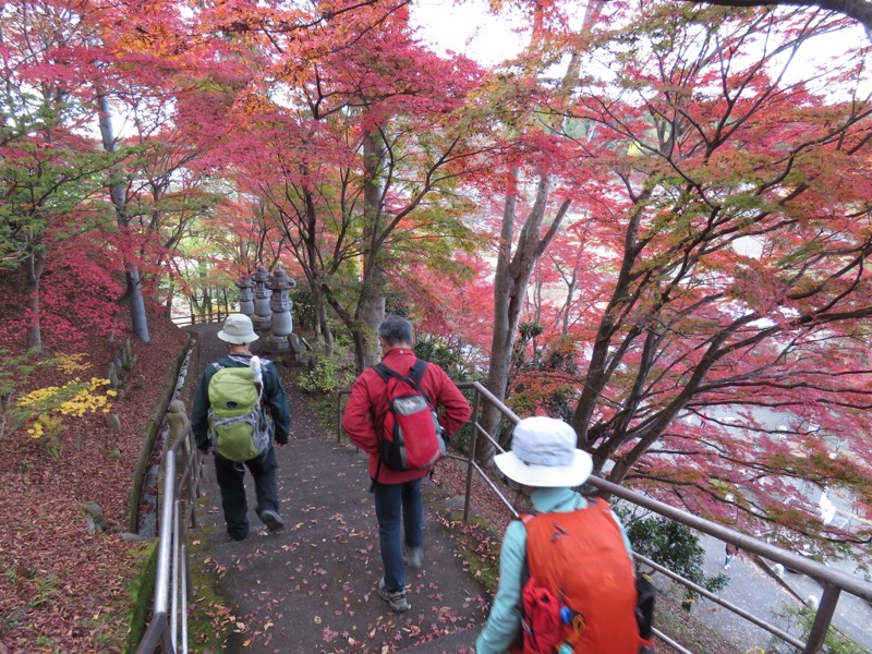 奥久慈・男体山から袋田の滝、常陸大子、もみじ寺、永源寺