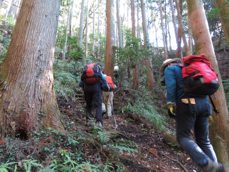 奥久慈・男体山から袋田の滝、奥久慈・男体山、大円地登山口〜山頂