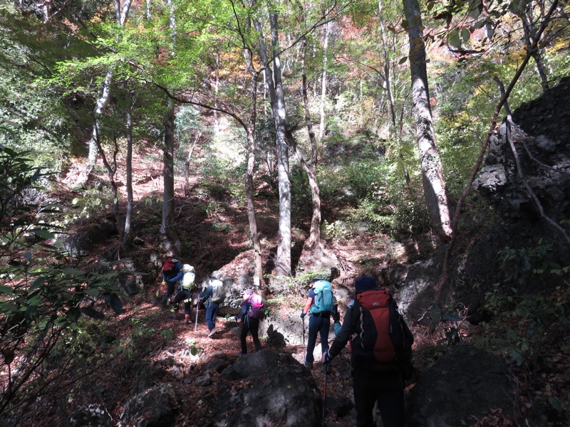 奥久慈・男体山から袋田の滝、奥久慈・男体山、大円地登山口〜山頂