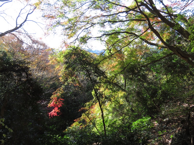 奥久慈・男体山から袋田の滝、奥久慈・男体山、大円地登山口〜山頂