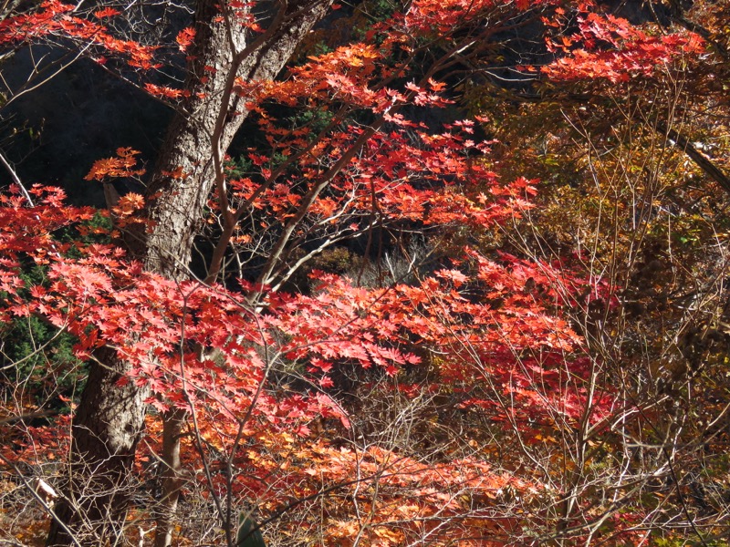 奥久慈・男体山から袋田の滝、男体山山頂〜袋田の滝、もみじ