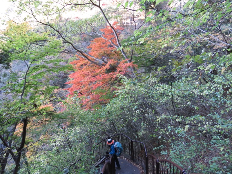 奥久慈・男体山から袋田の滝、袋田の滝