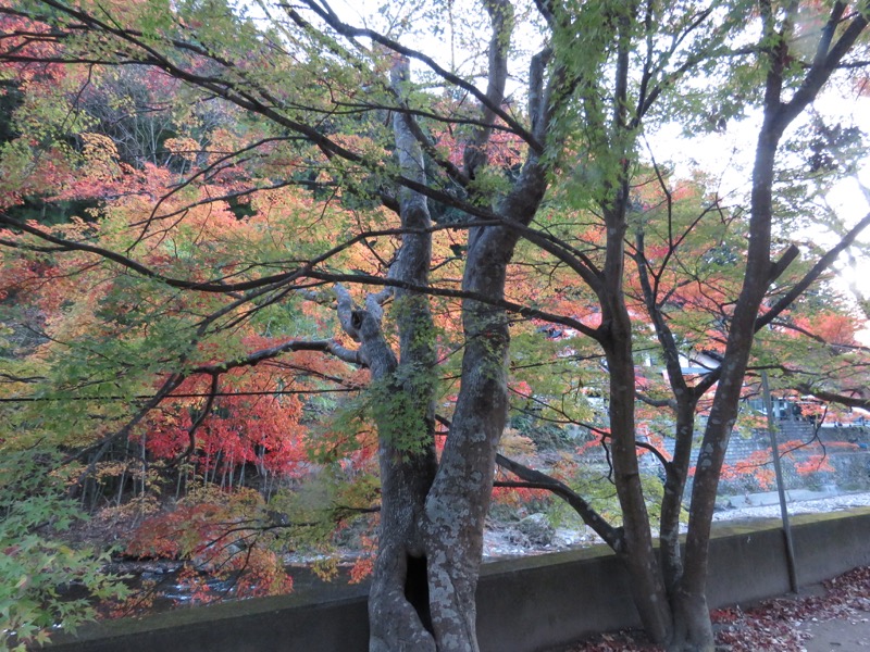 奥久慈・男体山から袋田の滝、土産物屋街の紅葉