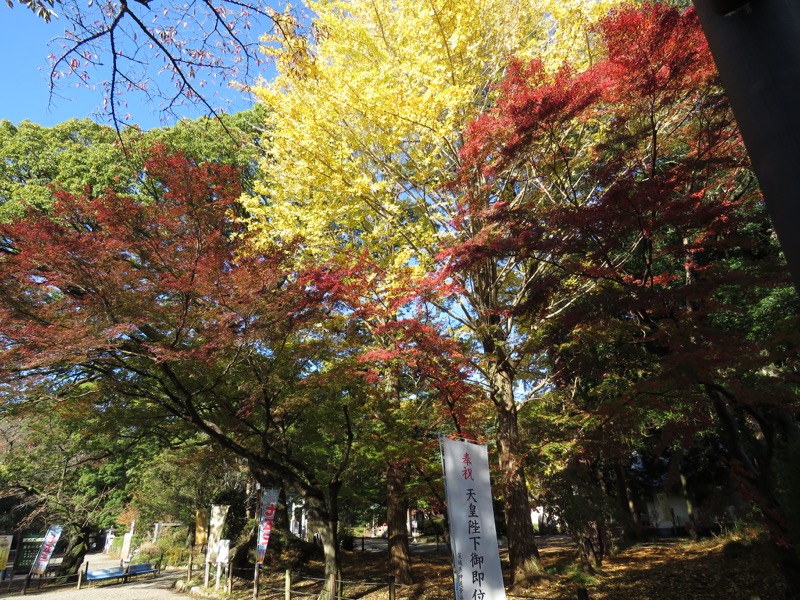 奥久慈・男体山から袋田の滝、水戸偕楽園、常磐神社