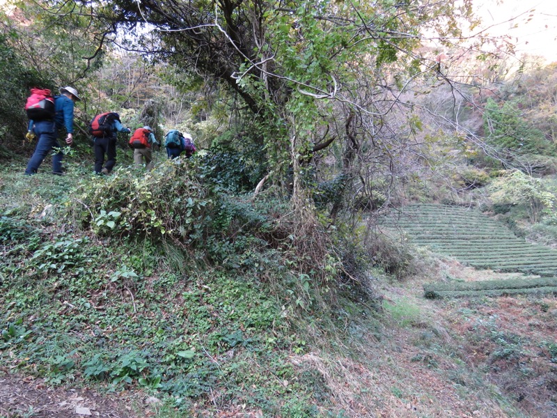 奥久慈・男体山から袋田の滝、奥久慈・男体山、大円地登山口〜山頂、登山口