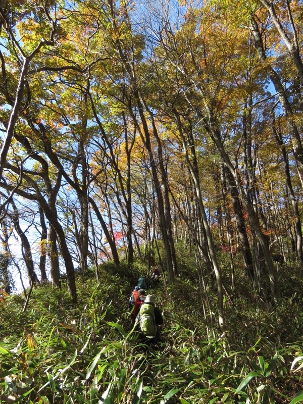 奥久慈・男体山から袋田の滝、男体山山頂〜袋田の滝