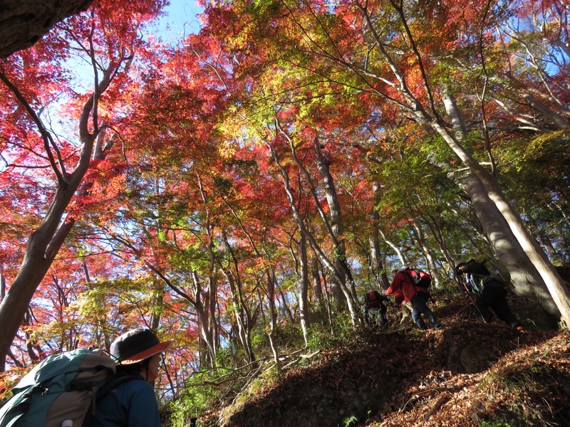 奥久慈・男体山から袋田の滝、男体山山頂〜袋田の滝、月居城跡、イロハモミジ