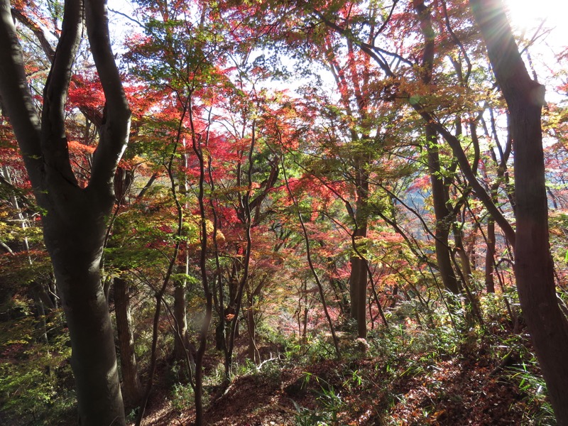 奥久慈・男体山から袋田の滝、男体山山頂〜袋田の滝、月居城跡、イロハモミジ