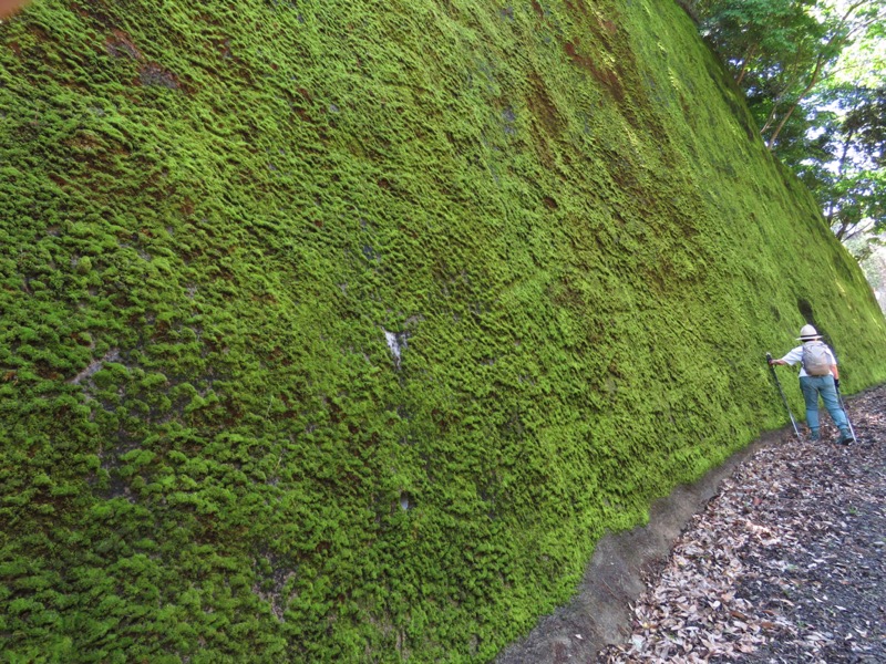 〓山