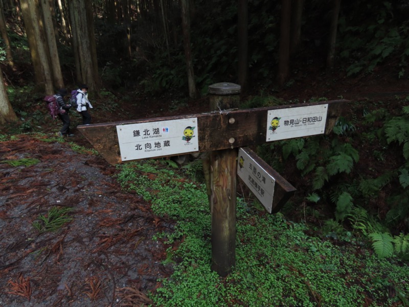 日和田山、物見山