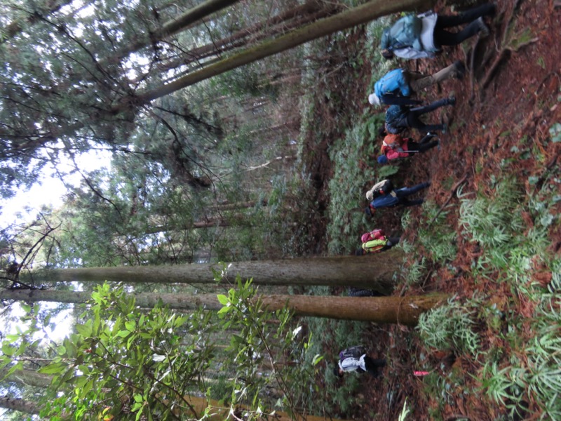 日和田山、物見山