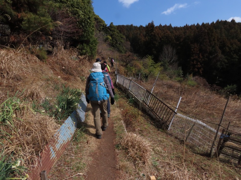 日和田山、物見山