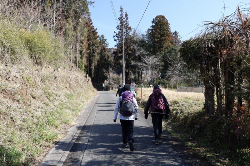 日和田山、物見山