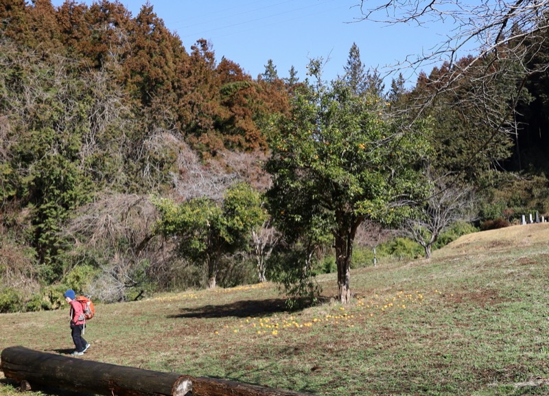 日和田山、物見山