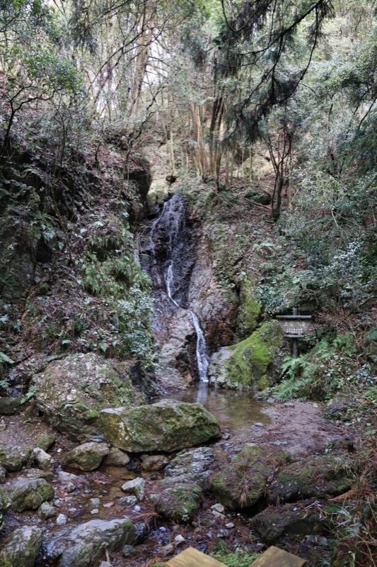 日和田山、物見山