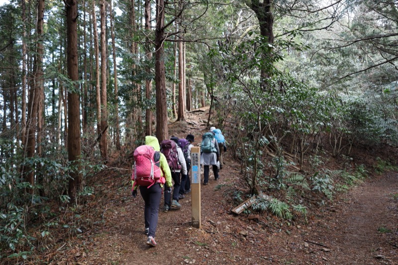 日和田山、物見山