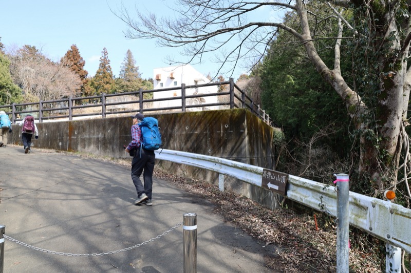 日和田山、物見山