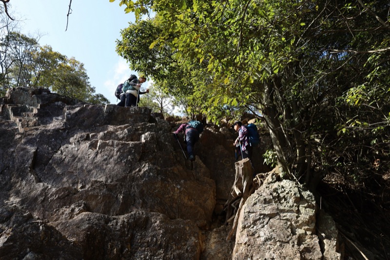 日和田山、物見山