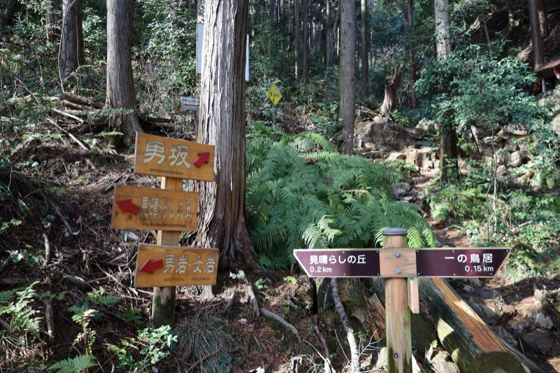 日和田山、物見山