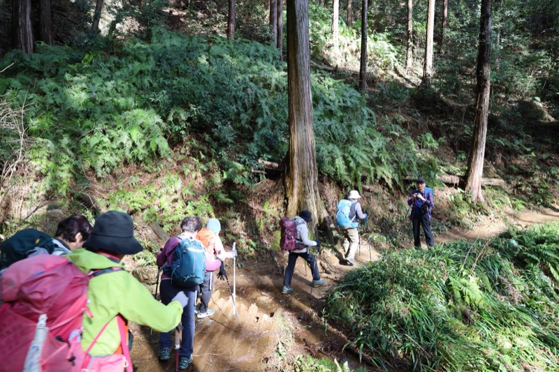 日和田山、物見山