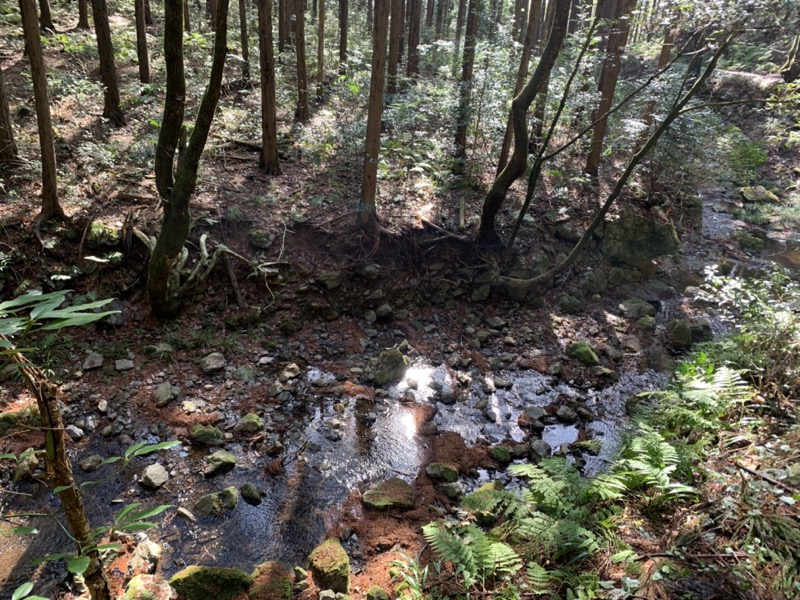 日和田山、物見山