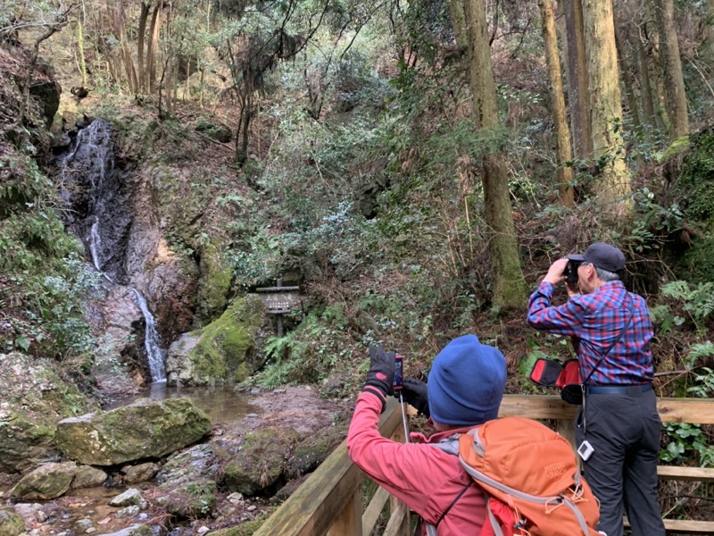 日和田山、物見山