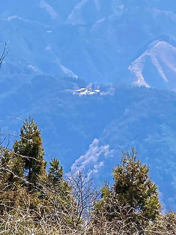 大岳山、馬頭刈尾根