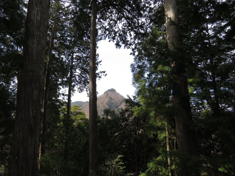 大岳山、馬頭刈尾根