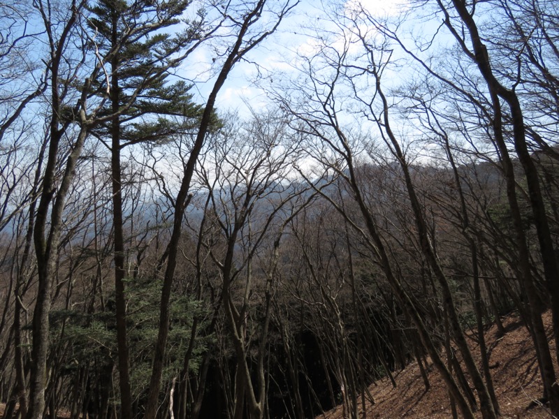 大岳山、馬頭刈尾根