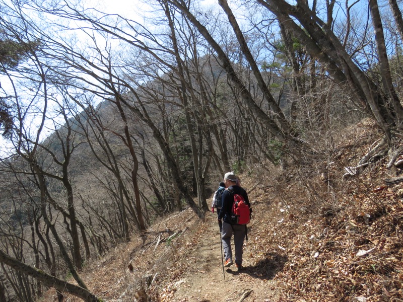 大岳山、馬頭刈尾根