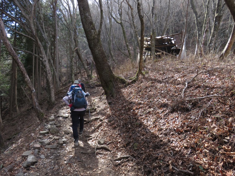 大岳山、馬頭刈尾根