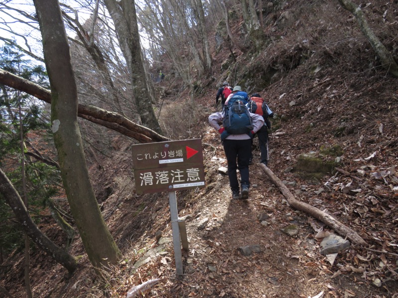 大岳山、馬頭刈尾根