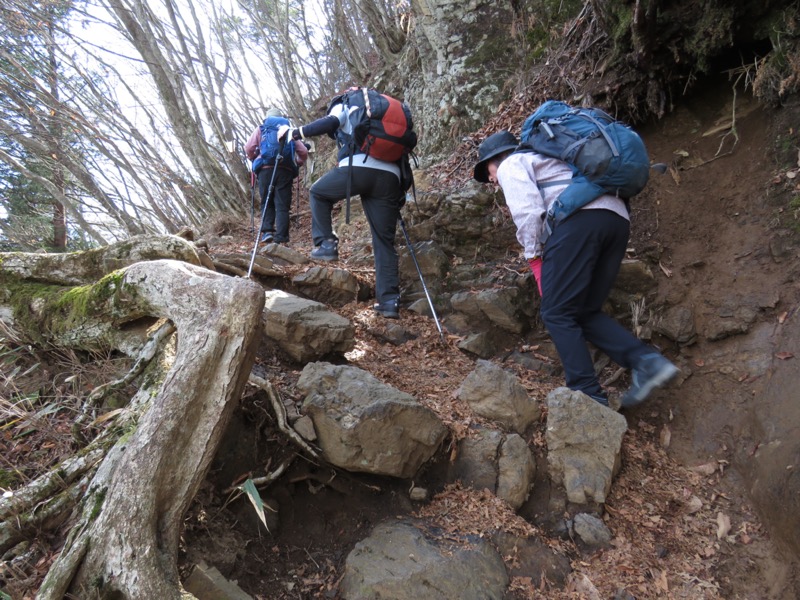 大岳山、馬頭刈尾根