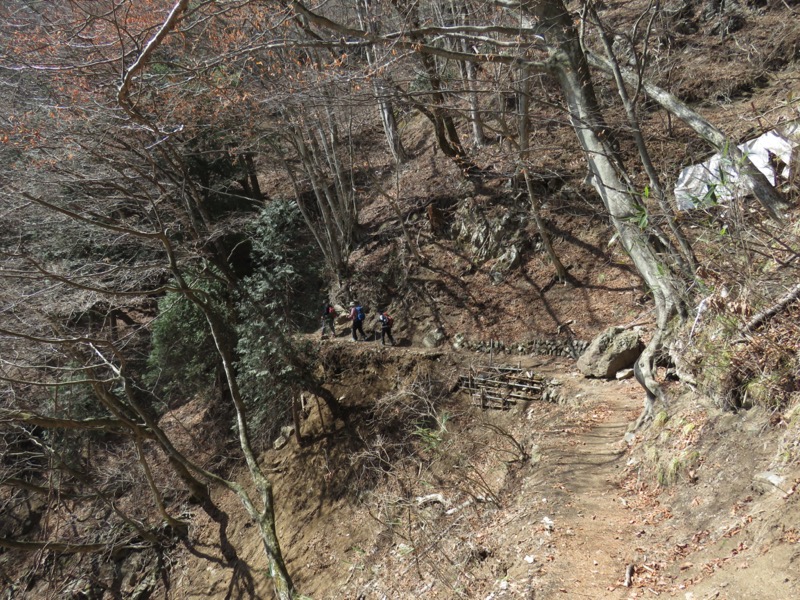 大岳山、馬頭刈尾根