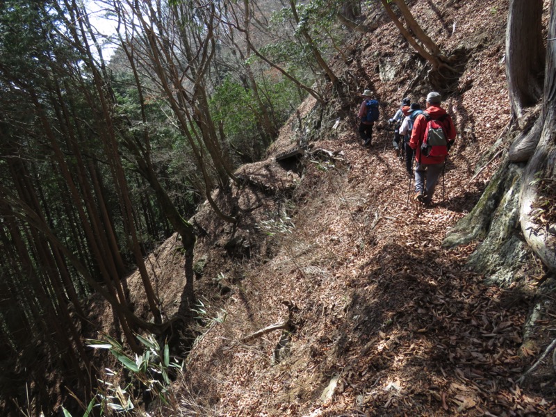 大岳山、馬頭刈尾根