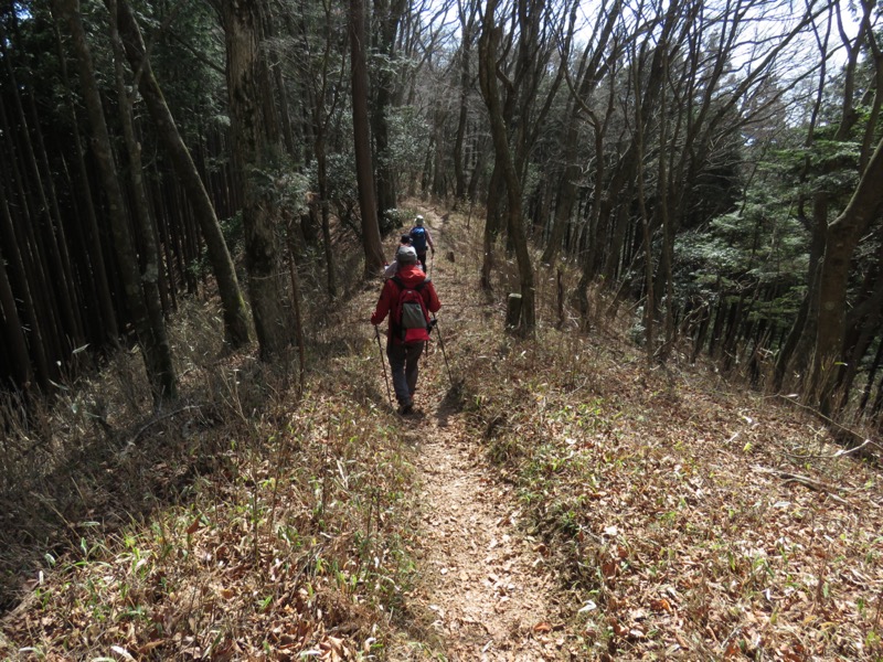 大岳山、馬頭刈尾根