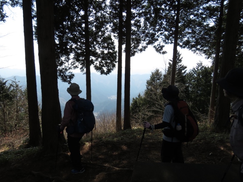 大岳山、馬頭刈尾根