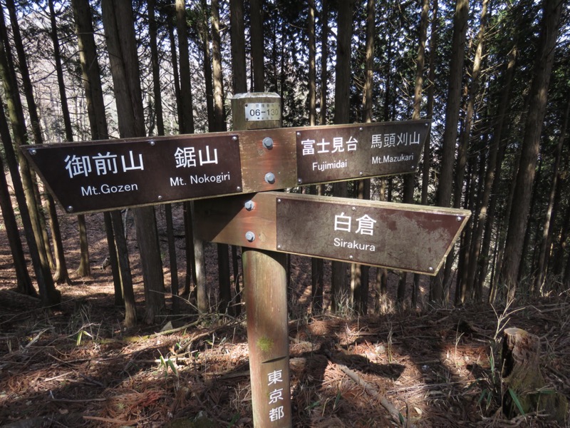 大岳山、馬頭刈尾根