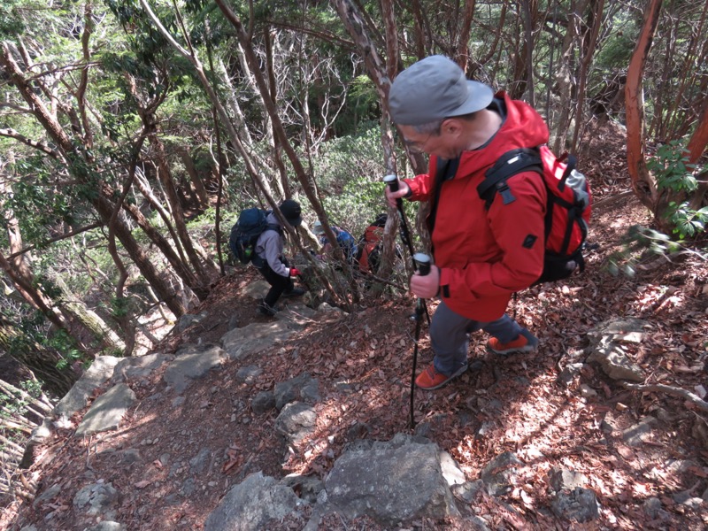 大岳山、馬頭刈尾根