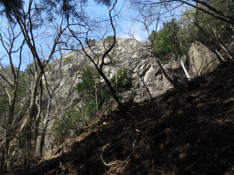 大岳山、馬頭刈尾根