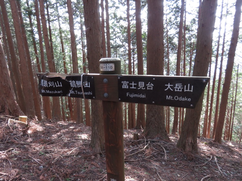 大岳山、馬頭刈尾根