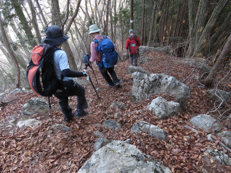 大岳山、馬頭刈尾根