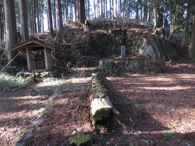 大岳山、馬頭刈尾根