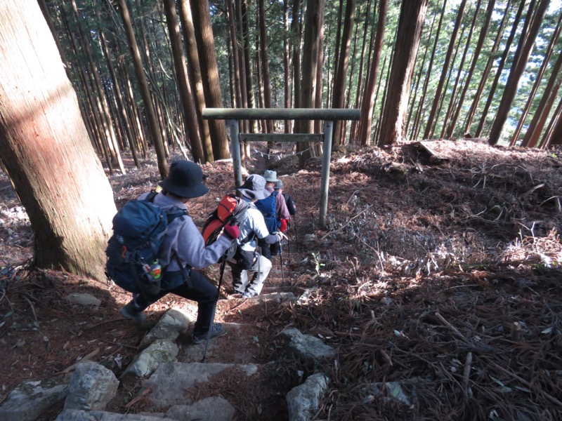 大岳山、馬頭刈尾根