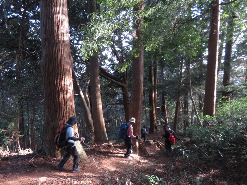 大岳山、馬頭刈尾根