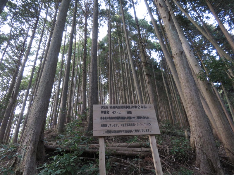 大岳山、馬頭刈尾根