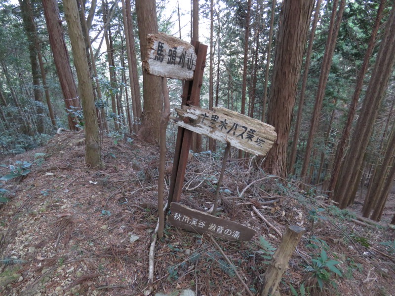 大岳山、馬頭刈尾根