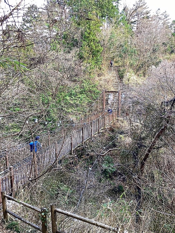 大岳山、馬頭刈尾根