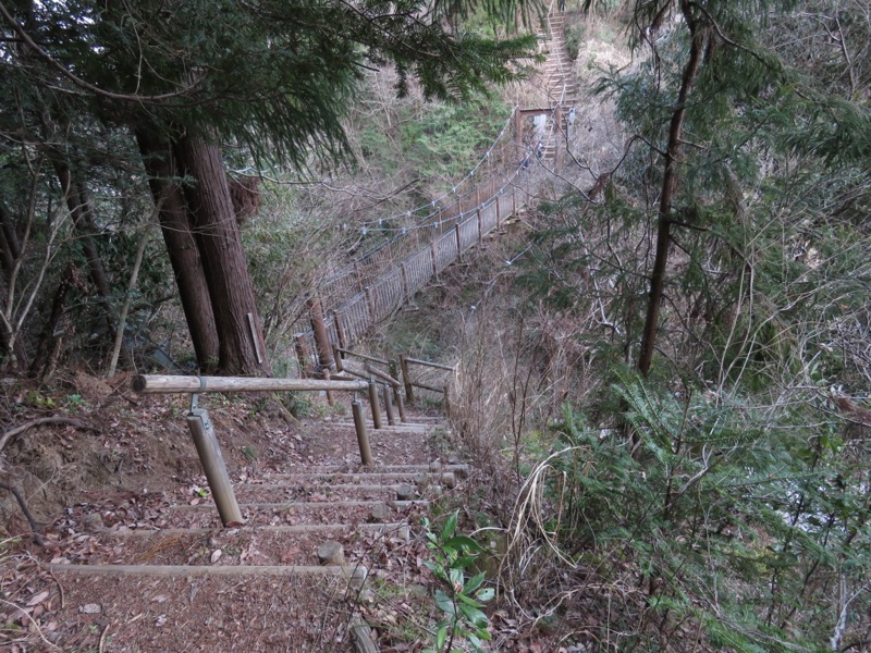 大岳山、馬頭刈尾根